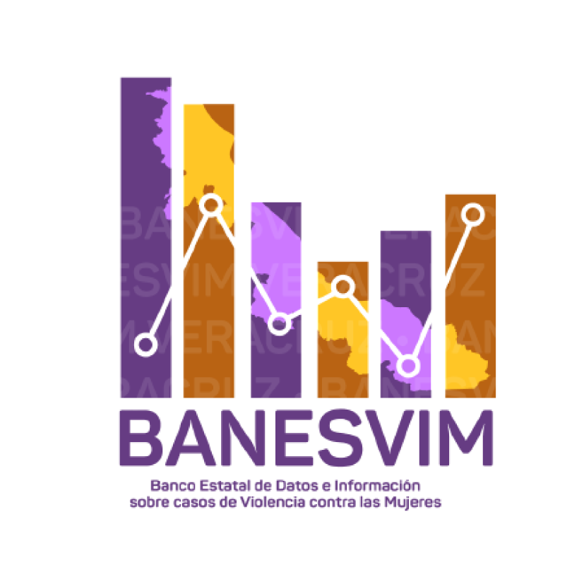 Acerca del BANESVIM